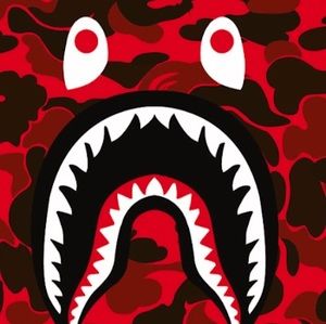 Meet your Posher, Diego